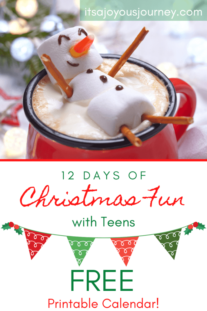 12 Days of Christmas Fun Ideas for Teenagers