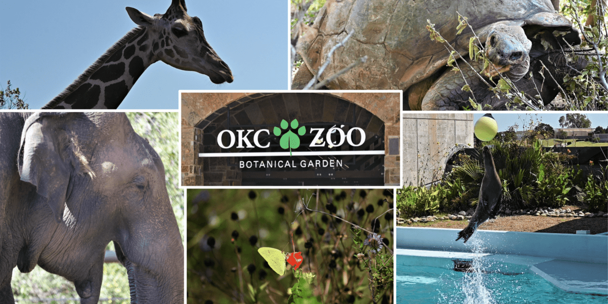 OKC-Zoo